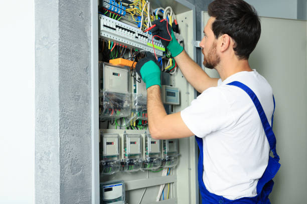 Best Electric Panel Repair  in Oak Lawn, IL